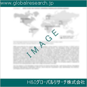グローバルリサーチ調査資料のイメージ